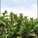 07_08_hedge_funds