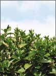 07_08_hedge_funds