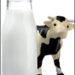 07_12_cow.jpg