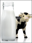 07_12_cow.jpg