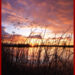 sunset.jpg