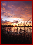 sunset.jpg