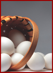 eggs.jpg