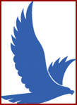 bird.jpg