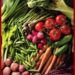vegetables.jpg