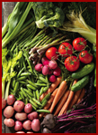 vegetables.jpg
