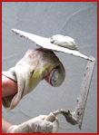 Plasterer