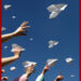 paper_planes