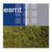 esmt_hedge