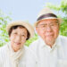 Turning Japanese