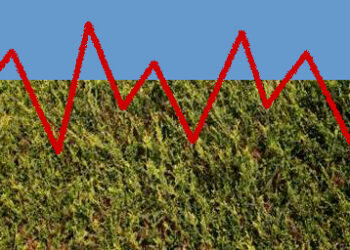 volatile_hedge