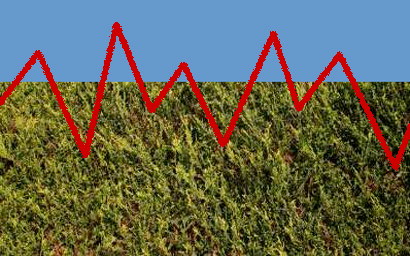 volatile_hedge