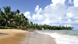 Brazil_beach