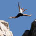 man_leaps_gorge_410