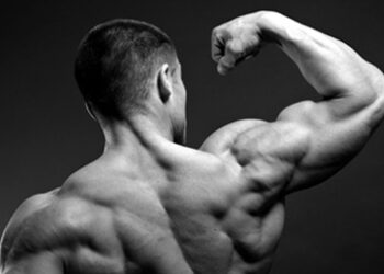 Shareholder_muscle_1