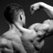Shareholder_muscle_1