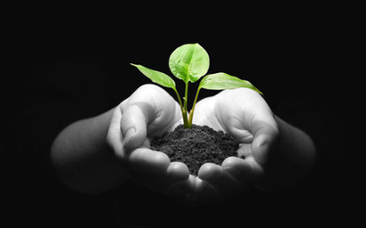 seedling_in_hands_410