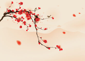 Japan_tree