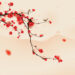Japan_tree