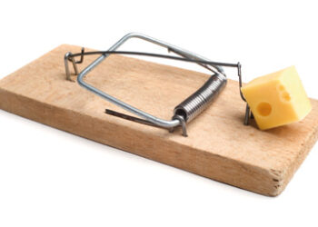 Mouse_trap