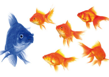 Fish---blue