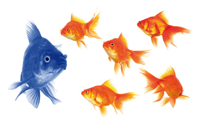 Fish---blue