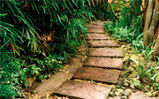 Zen-Garden