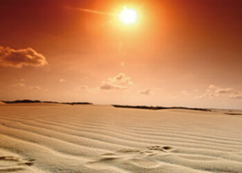 Footprints-in-the-sand