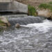 Outflow