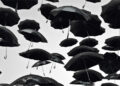 Umbrellas