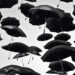 Umbrellas