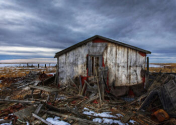 Derelict shed