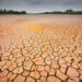 Dried up riverbed