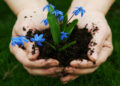 Planting