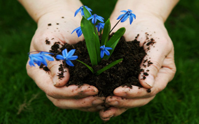 Planting