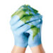 hands