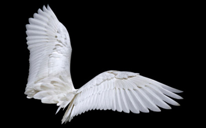 Angel wings