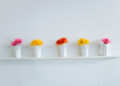 Vases on shelf