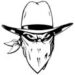 Cowboy bandit