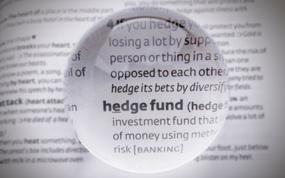 Hedge fund