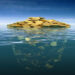 Money iceberg