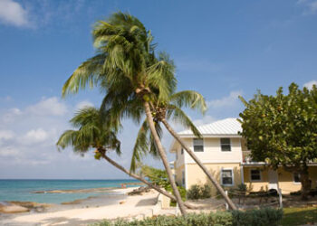 Grand Cayman