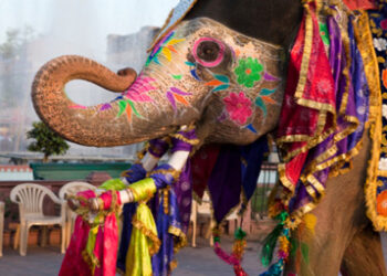 india
