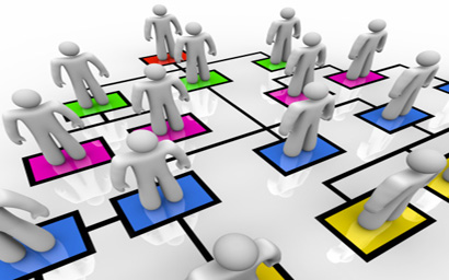 organizational structure