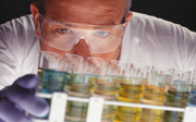 Lab