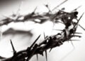 Thorn crown