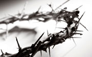 Thorn crown