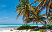 Cayman Islands