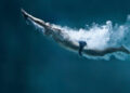Swimmer