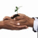 Growth1